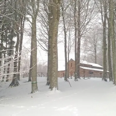 Vecchio Rifugio - Monte Amiata *