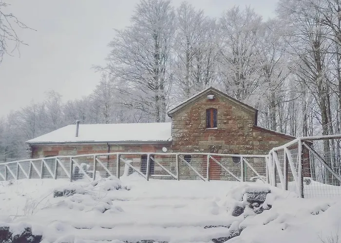 Vecchio Rifugio - Monte Amiata Chalet Castel del Piano (Tuscany)