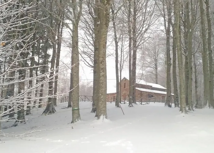 Vecchio Rifugio - Monte Amiata *